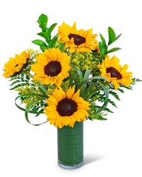 Ray Of Golden Sunflowers from Schultz Florists, flower delivery in Chicago