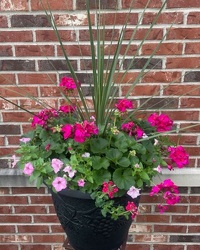 Patio Pot from Schultz Florists, flower delivery in Chicago