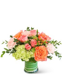 Coral Calma from Schultz Florists, flower delivery in Chicago