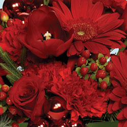 Designer Choice Christmas from Schultz Florists, flower delivery in Chicago