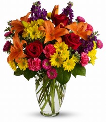 Bright Eyes from Schultz Florists, flower delivery in Chicago