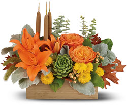 Fall Bamboo Garden from Schultz Florists, flower delivery in Chicago
