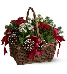 Christmas Garden Basket from Schultz Florists, flower delivery in Chicago