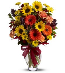 Glorious Autumn from Schultz Florists, flower delivery in Chicago
