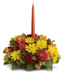 Bright to Light Centerpiece from Schultz Florists, flower delivery in Chicago